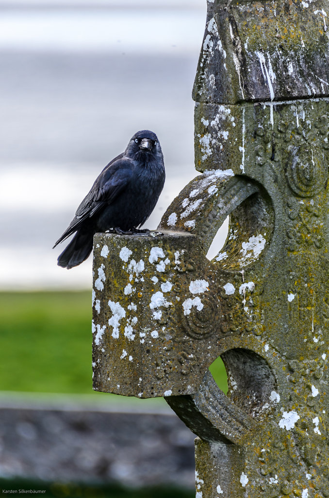 Auf dem Kreuz