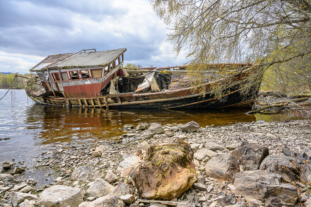 DZ7-3625.jpg