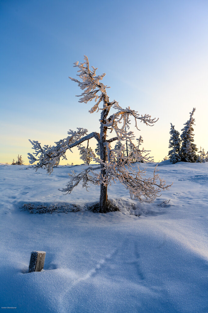 DZ7-6919-HDR.jpg
