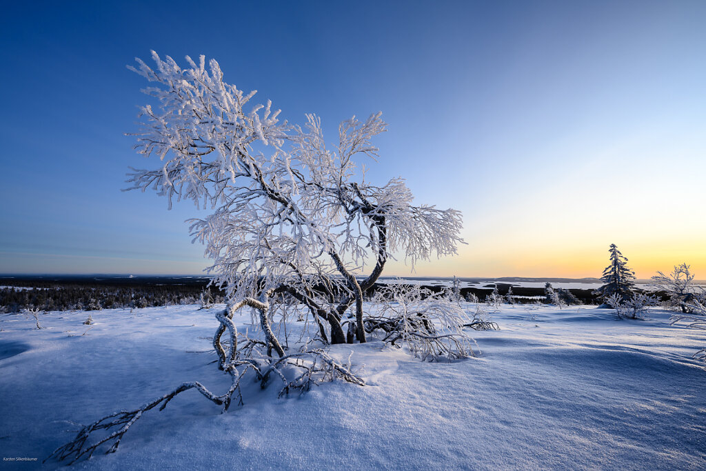DZ7-7036-HDR.jpg