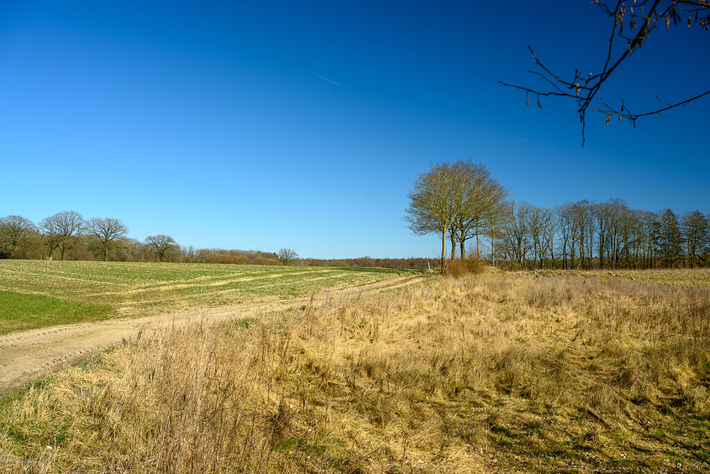 2025 / 12tel Blick