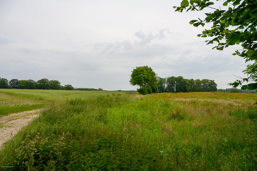 DZ7-0643.jpg
