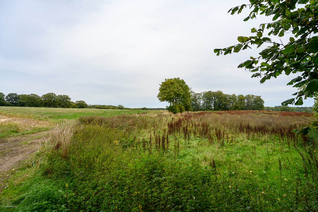 DZ7-0664.jpg